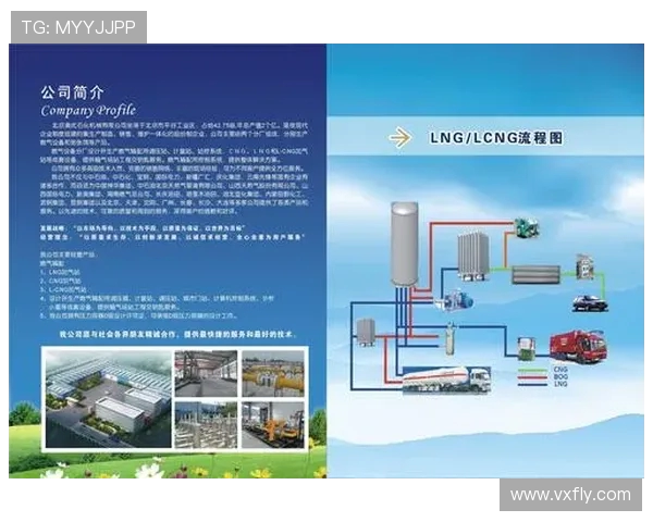 专业分析LNG市场的控制策略与应对方法探讨 专业分析LNG市场的控制策略与应对方法探讨