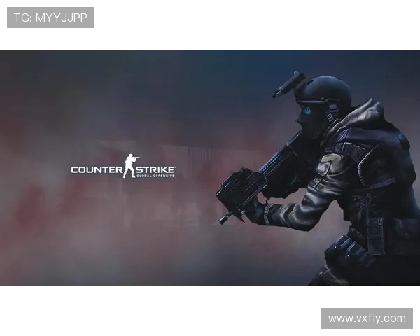 CSGO专题:聚焦TES的灵活性 CSGO专题:聚焦TES的灵活性