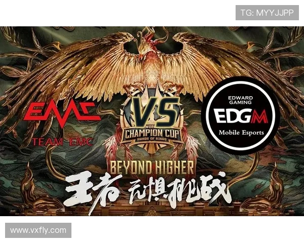 EDG在冠军杯中的团队协作表现分析与战术解读