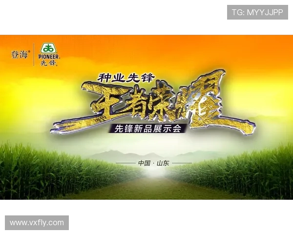 刘军畅谈王者荣耀职业生涯的心路历程与成长故事 刘军畅谈王者荣耀职业生涯的心路历程与成长故事