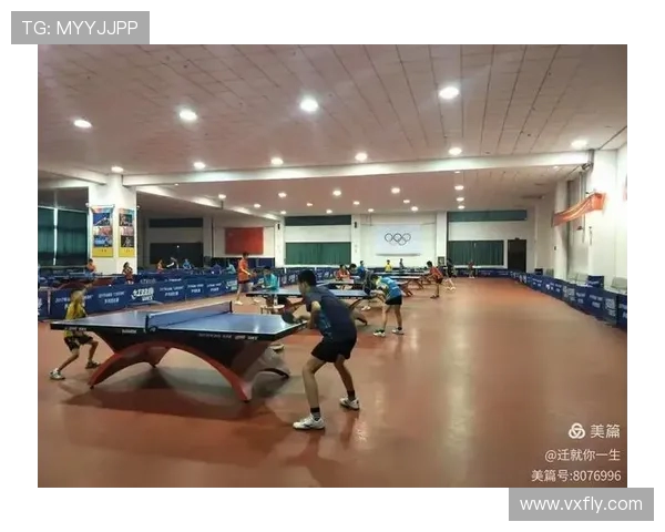 北京乒乓球队耐力表现的数据分析与训练策略探讨