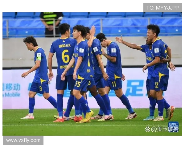 南京足球队战术揭秘:从历史到未来的全面分析与展望