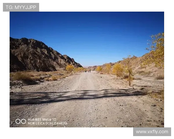 张磊专访：追忆飞盘之路与未来展望的精彩旅程