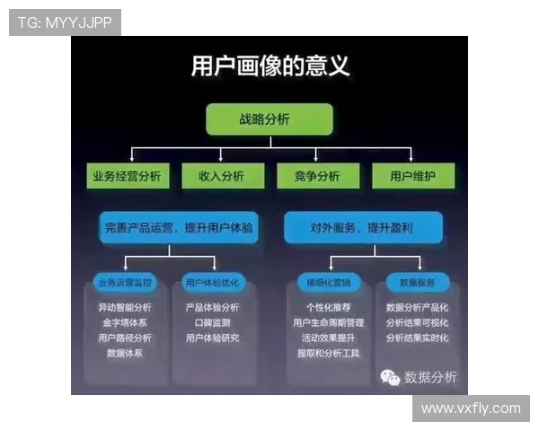 王者荣耀战队LNG配合策略深度分析与探讨 王者荣耀战队LNG配合策略深度分析与探讨