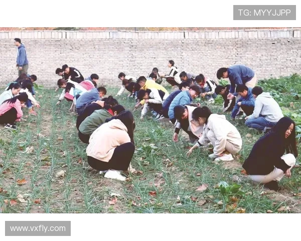 大学生与东方石油的碰撞探索职业发展与行业前景的多元视角