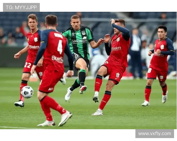 布里班狮吼与凤凰的激烈对决揭示澳超联赛的精彩与悬念 布里班狮吼与凤凰的激烈对决揭示澳超联赛的精彩与悬念