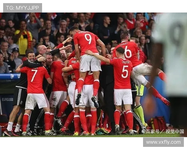 比利时与墨西哥精彩对决直播全程回顾与赛后分析