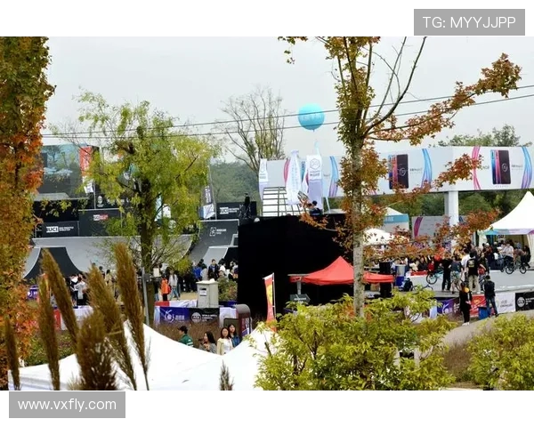 成都极限运动队区域防守分析与战术得失探讨