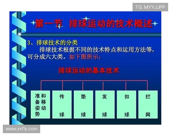 杭州排球队战术解析：聚焦排球运动的创新与发展