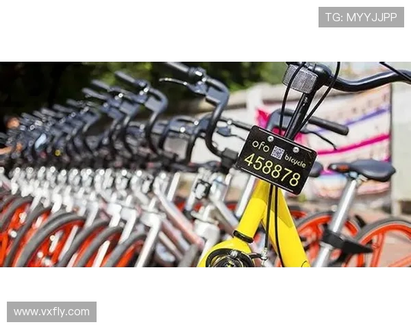 杭州滑板队全新战术解析与整体压制策略的深度探讨